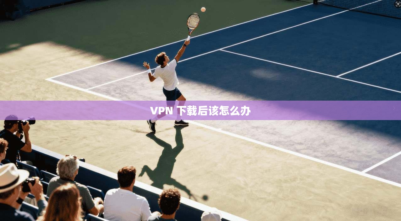 VPN 下载后该怎么办