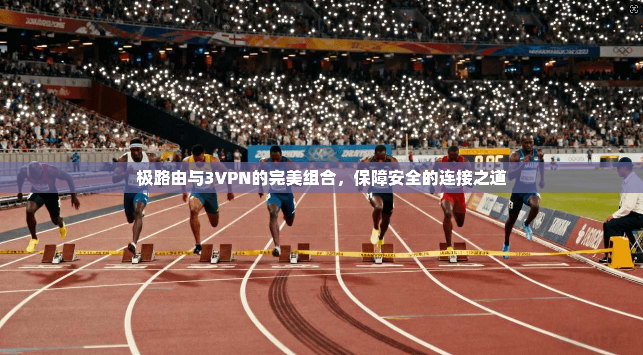 极路由与3VPN的完美组合,保障安全的连接之道