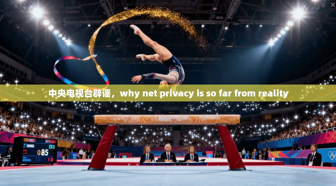 中央电视台辟谣，why net privacy is so far from reality