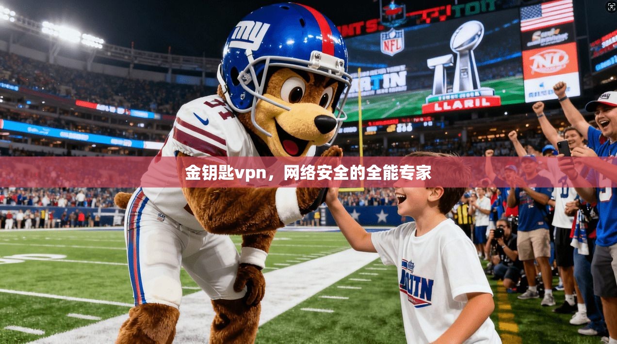 金钥匙vpn,网络安全的全能专家