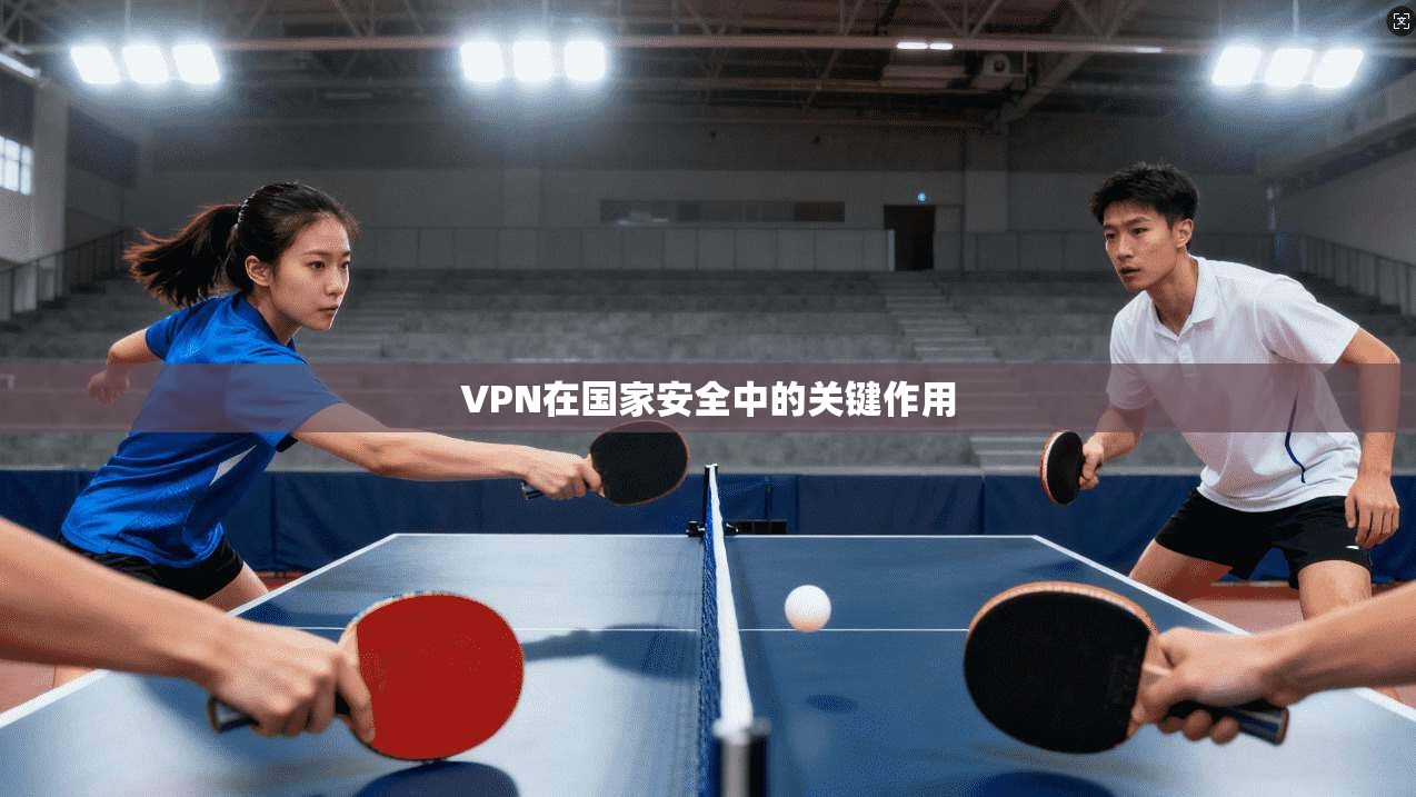 VPN在国家安全中的关键作用