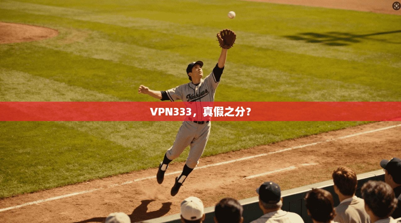 VPN333，真假之分？