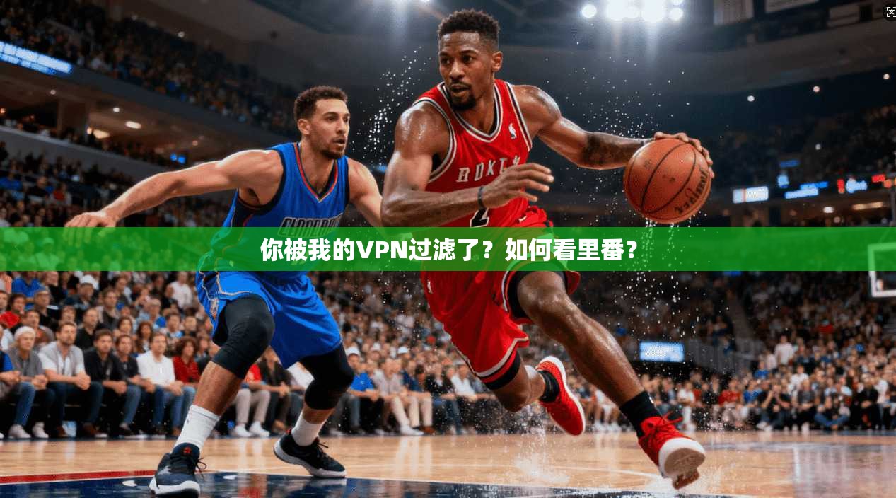 你被我的VPN过滤了？如何看里番？