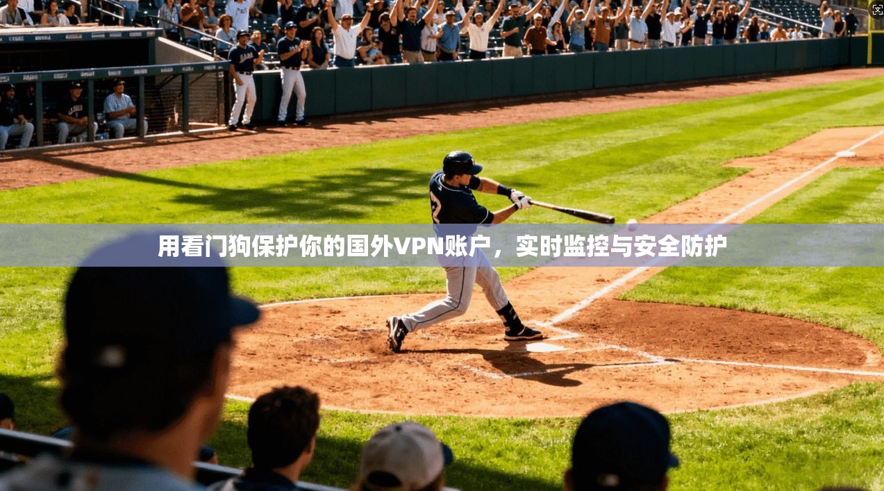 用看门狗保护你的国外VPN账户，实时监控与安全防护