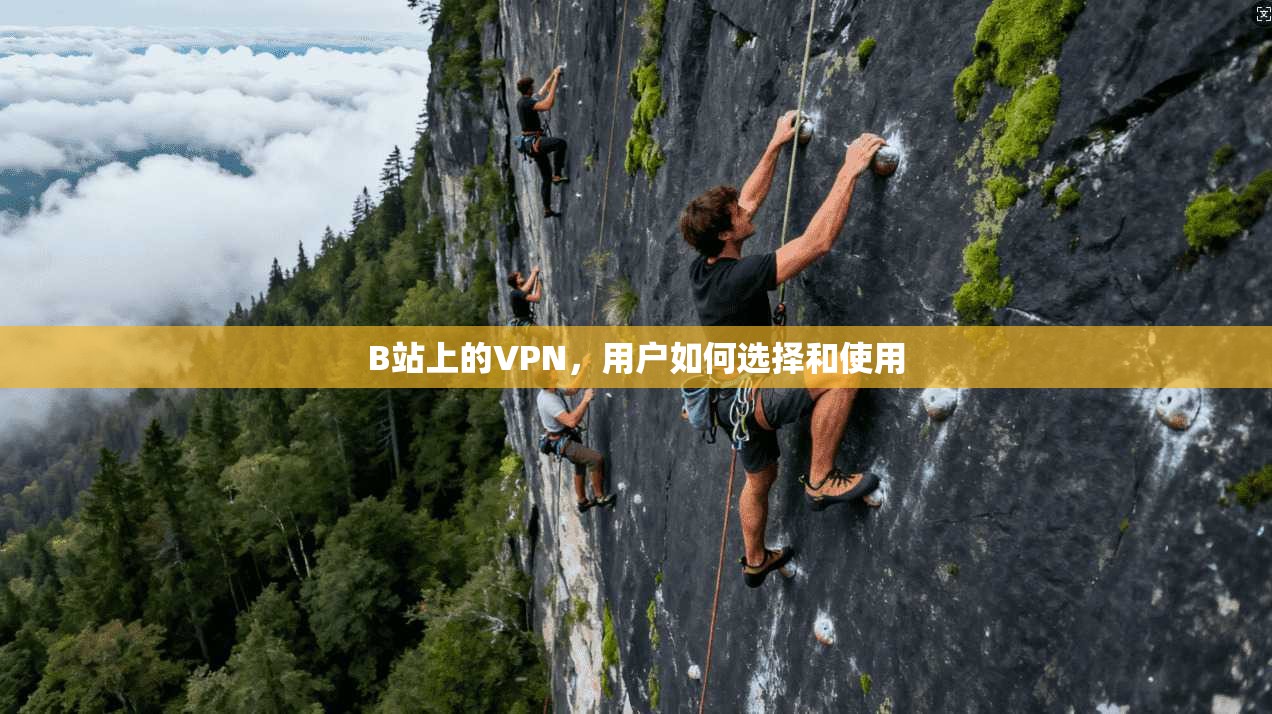 B站上的VPN,用户如何选择和使用