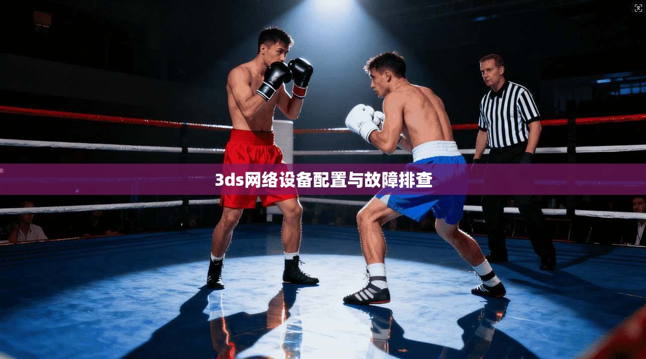 3ds网络设备配置与故障排查