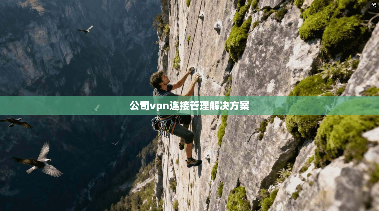 公司vpn连接管理解决方案