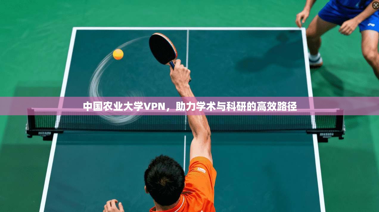 中国农业大学VPN，助力学术与科研的高效路径