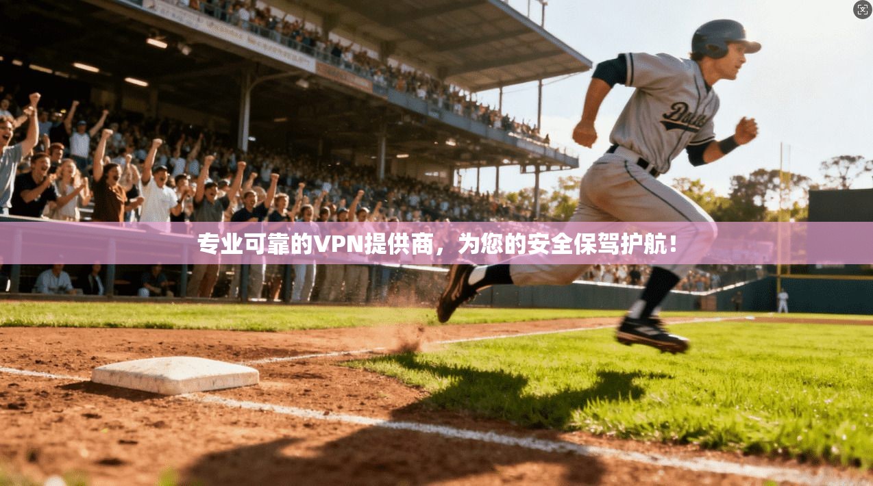 专业可靠的VPN提供商,为您的安全保驾护航!