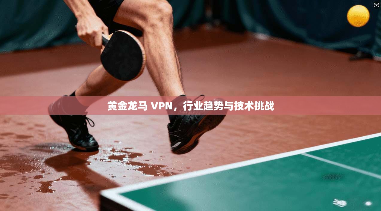 黄金龙马 VPN，行业趋势与技术挑战