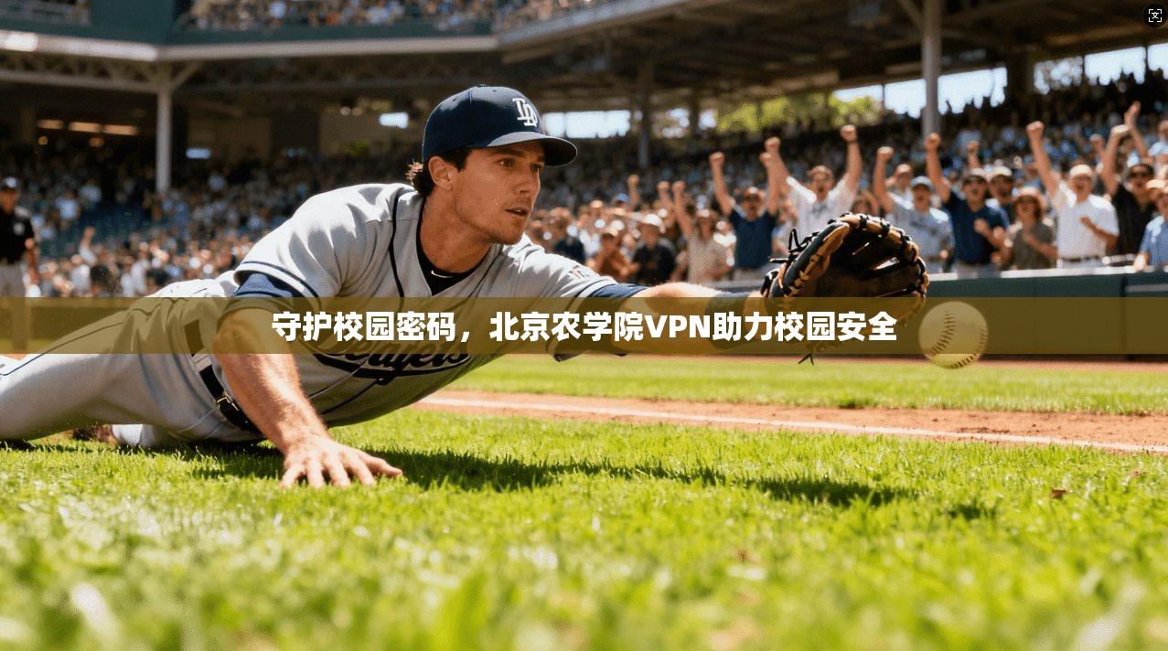 守护校园密码，北京农学院VPN助力校园安全