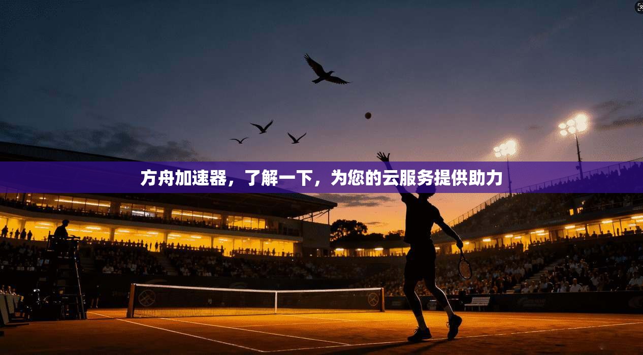 方舟加速器,了解一下,为您的云服务提供助力