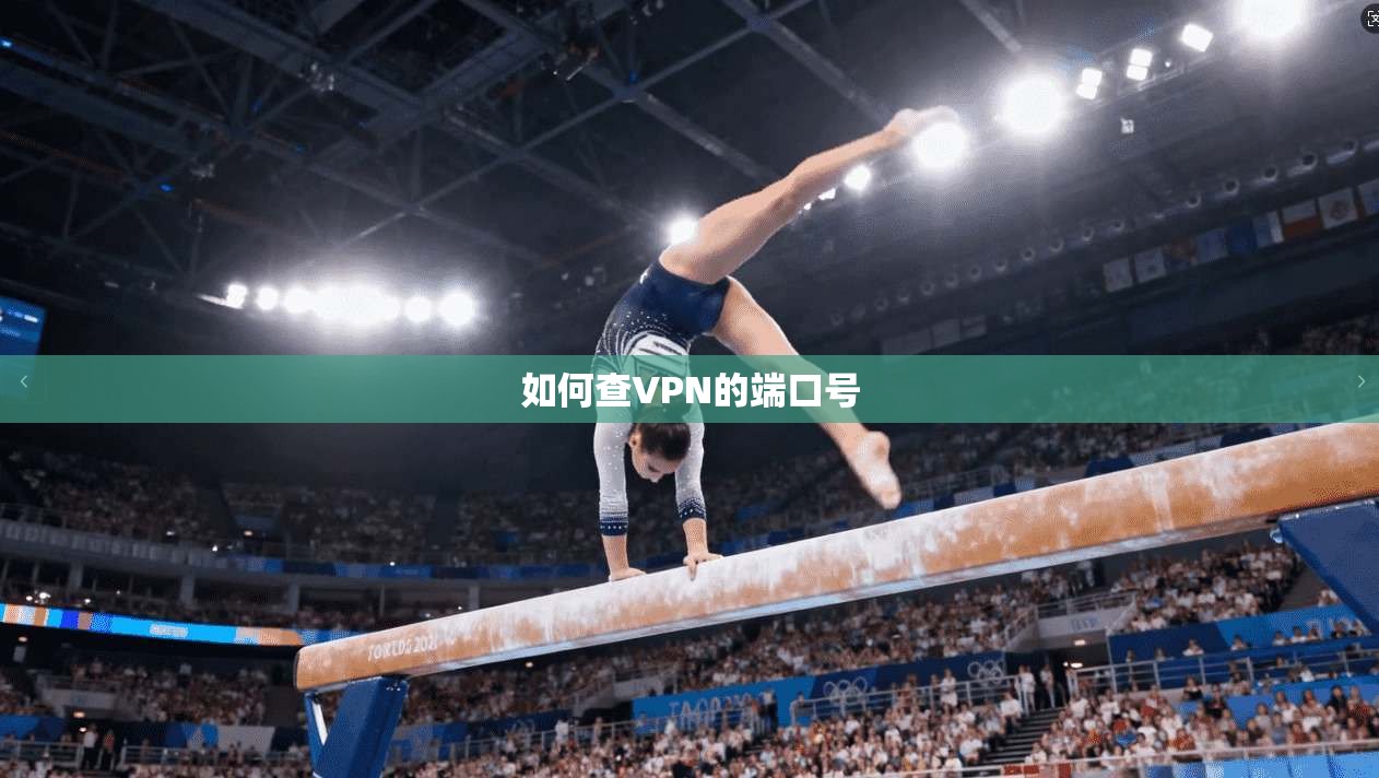 如何查VPN的端口号