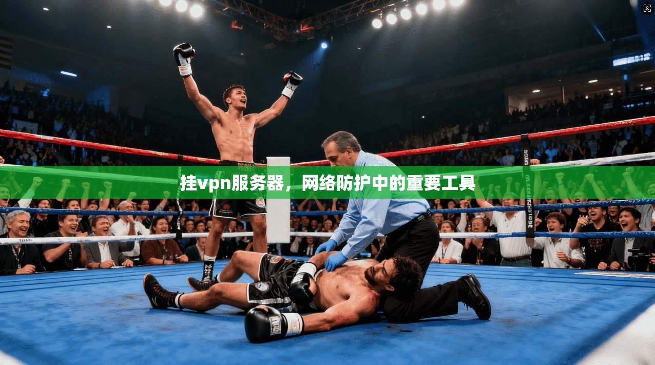 挂vpn服务器,网络防护中的重要工具