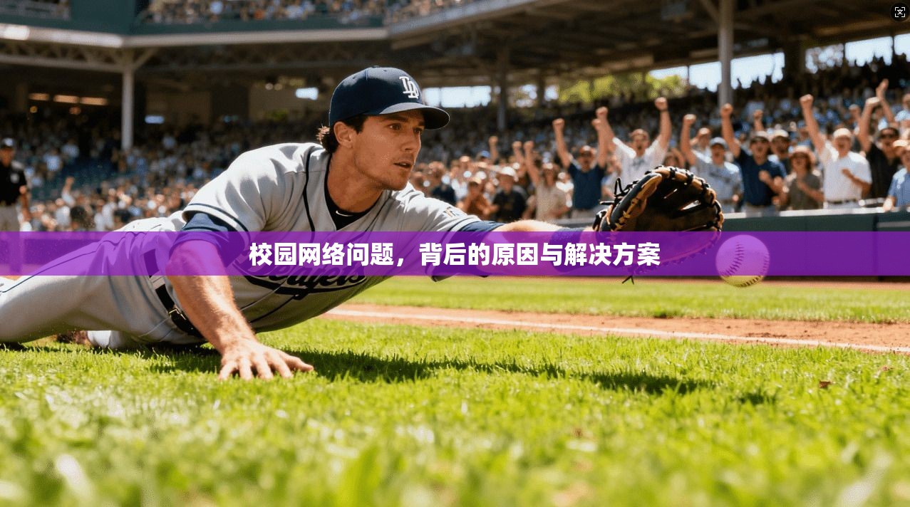 校园网络问题，背后的原因与解决方案