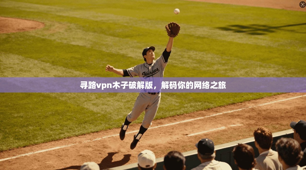 寻路vpn木子破解版,解码你的网络之旅