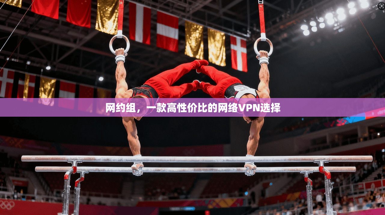 网约组,一款高性价比的网络VPN选择