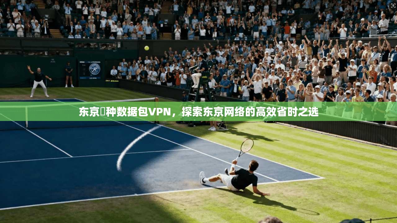 东京喰种数据包VPN，探索东京网络的高效省时之选