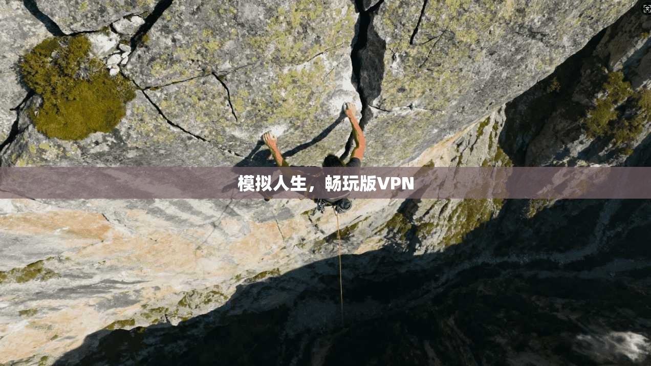 模拟人生,畅玩版VPN