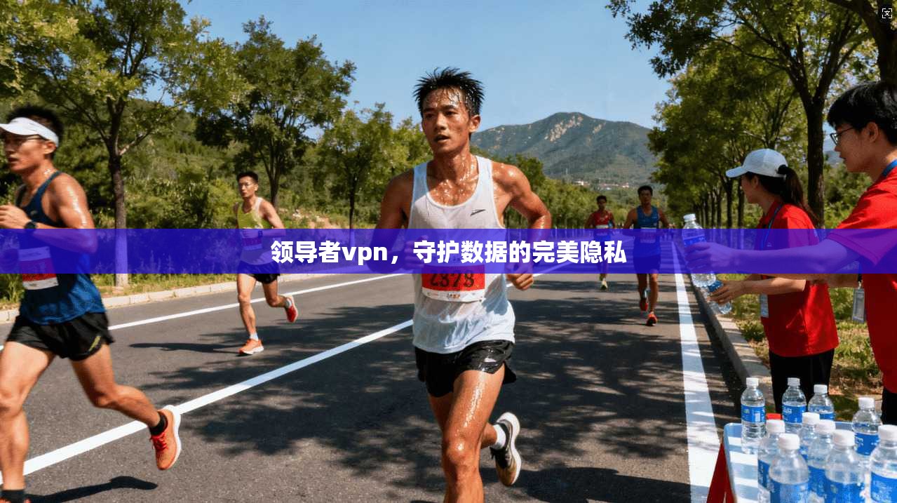 领导者vpn,守护数据的完美隐私