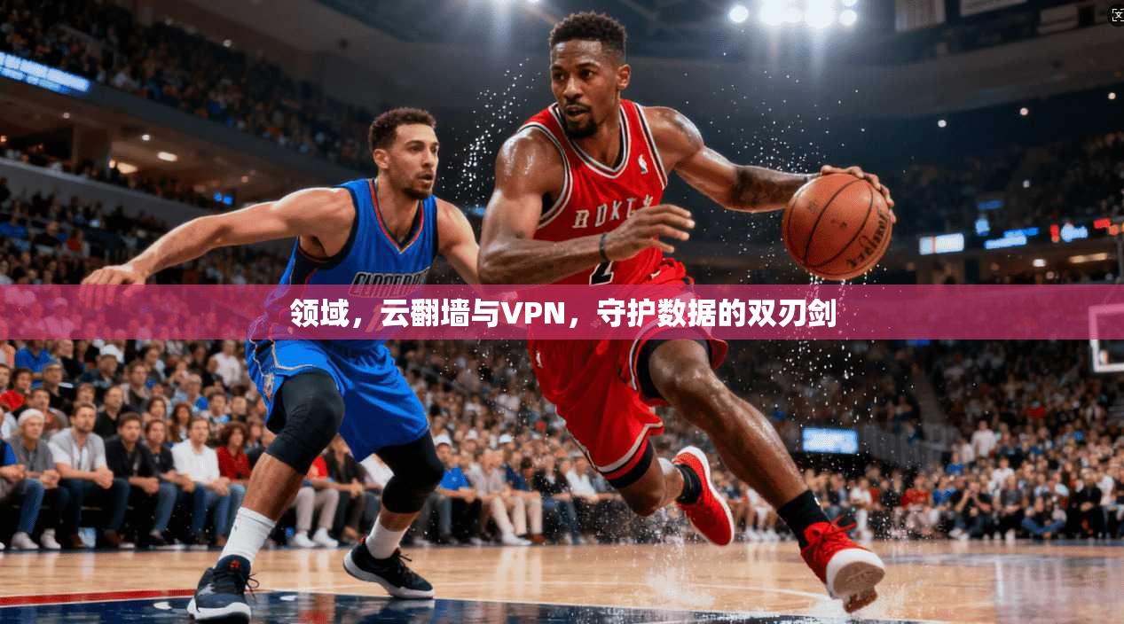 领域,云翻墙与VPN,守护数据的双刃剑