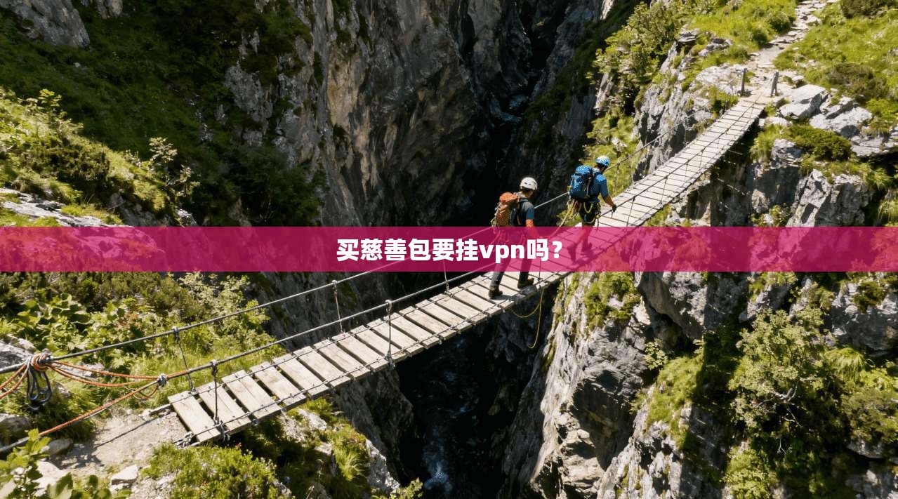 买慈善包要挂vpn吗？