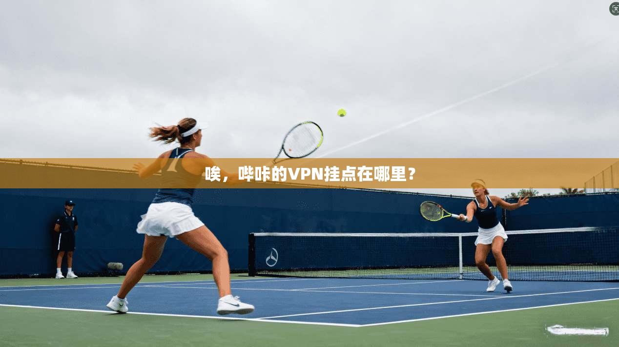 唉，哔咔的VPN挂点在哪里？