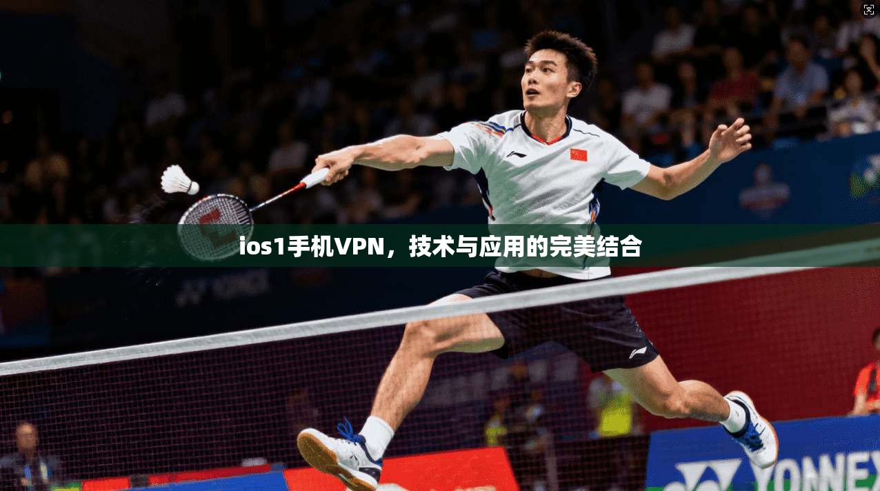 ios1手机VPN，技术与应用的完美结合