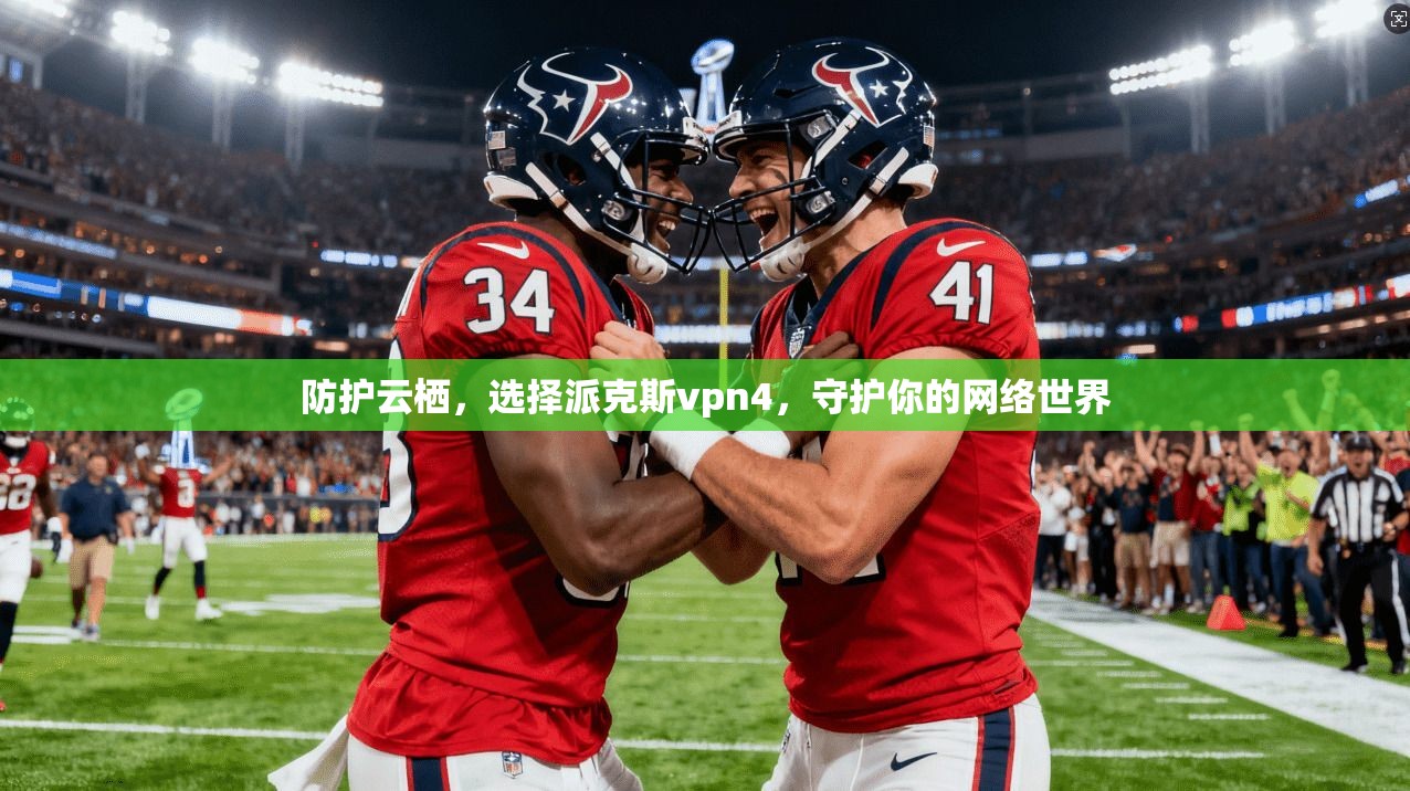 防护云栖，选择派克斯vpn4，守护你的网络世界