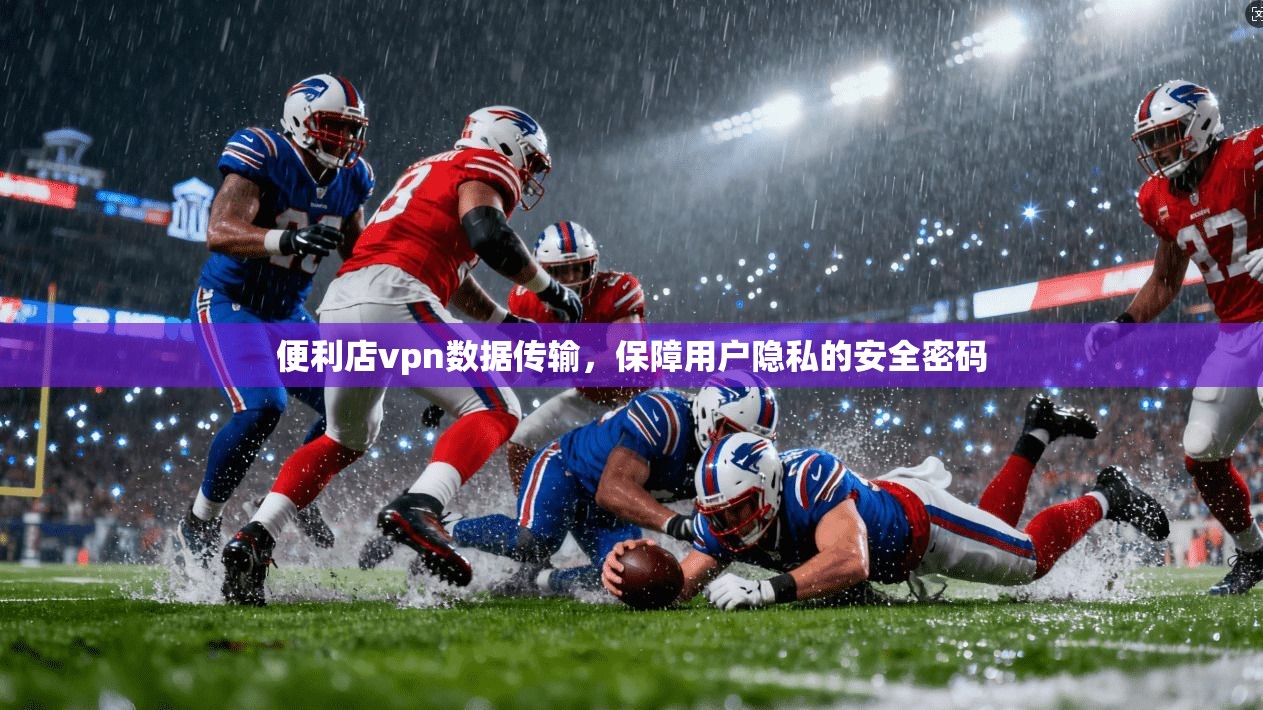 便利店vpn数据传输，保障用户隐私的安全密码