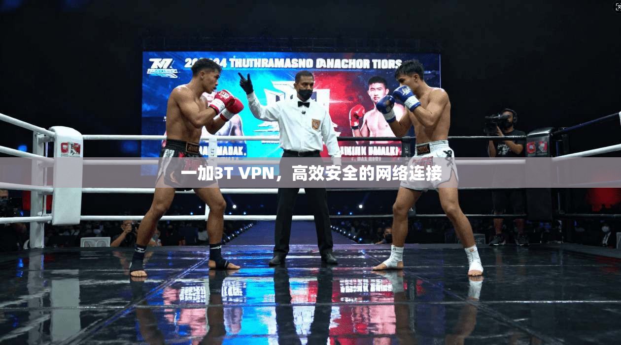 一加3T VPN,高效安全的网络连接