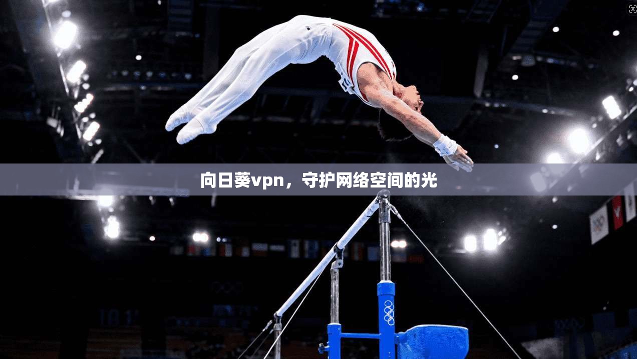 向日葵vpn，守护网络空间的光