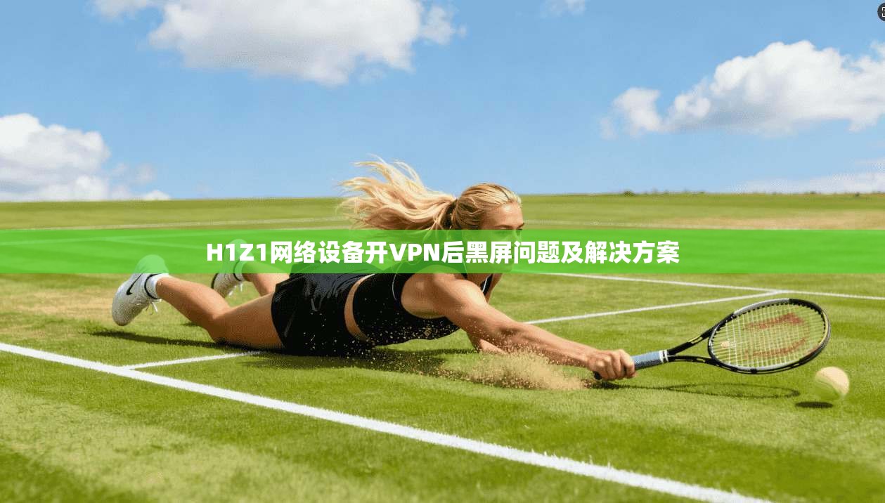 H1Z1网络设备开VPN后黑屏问题及解决方案