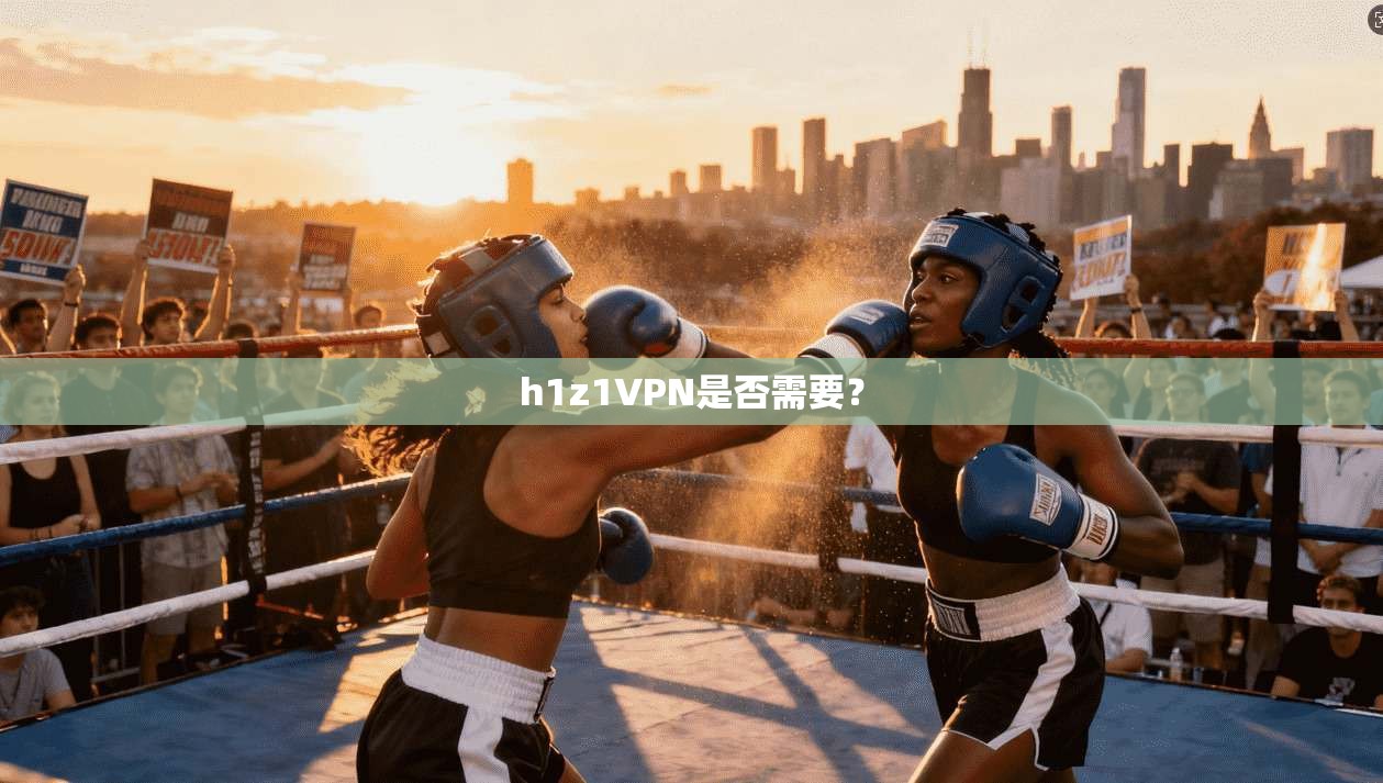 h1z1VPN是否需要?