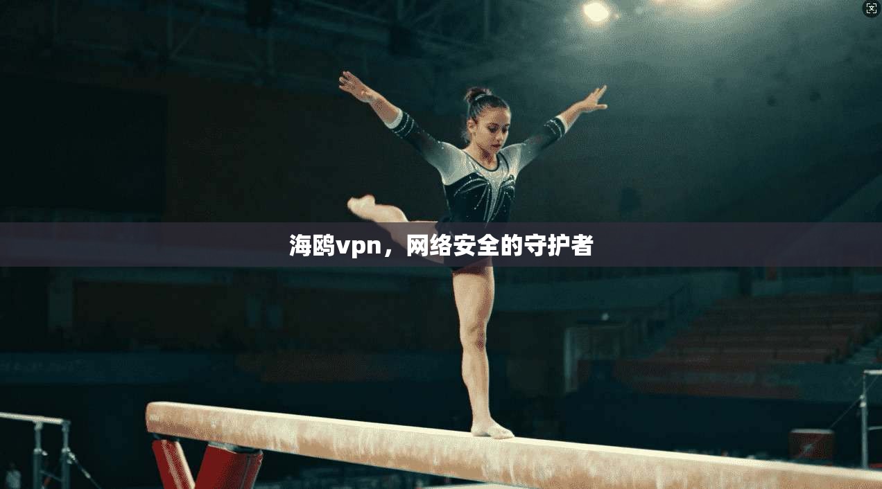 海鸥vpn，网络安全的守护者