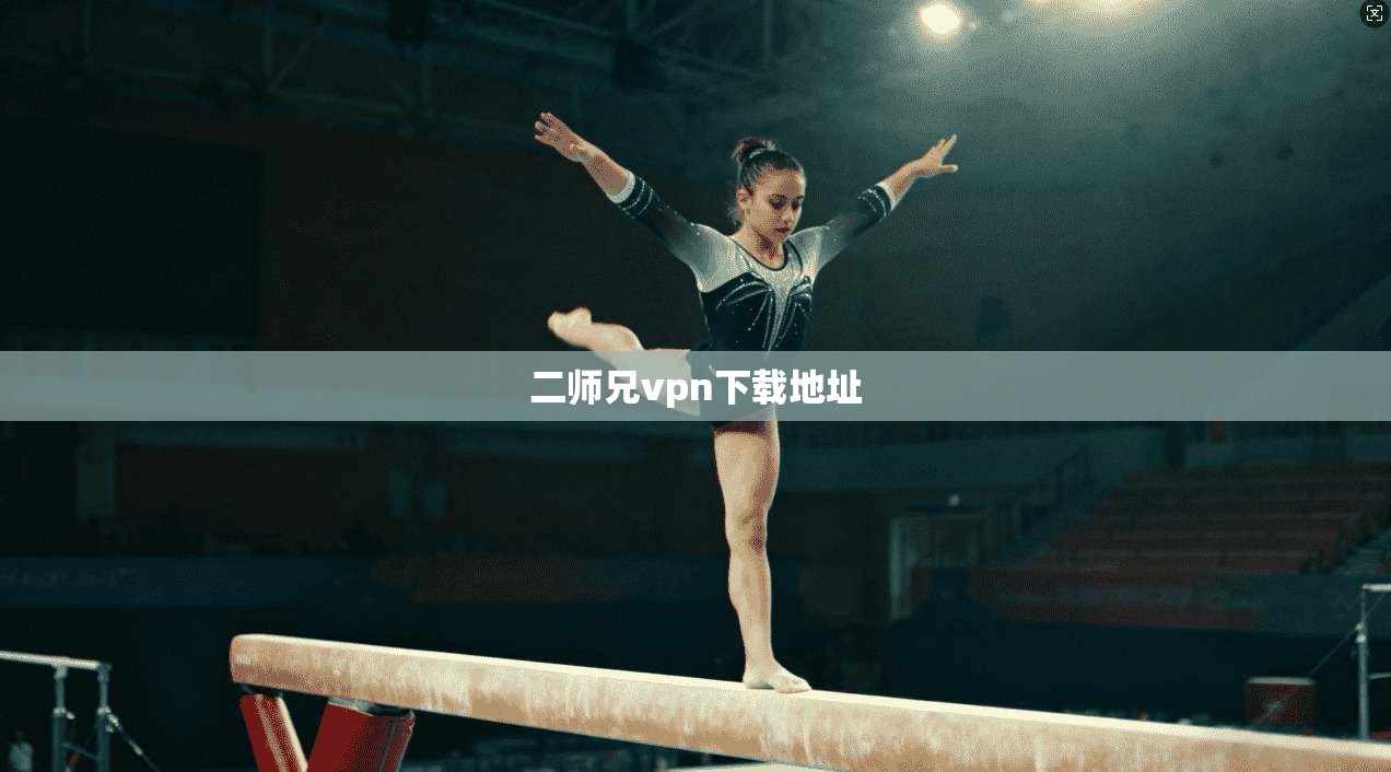 二师兄vpn下载地址