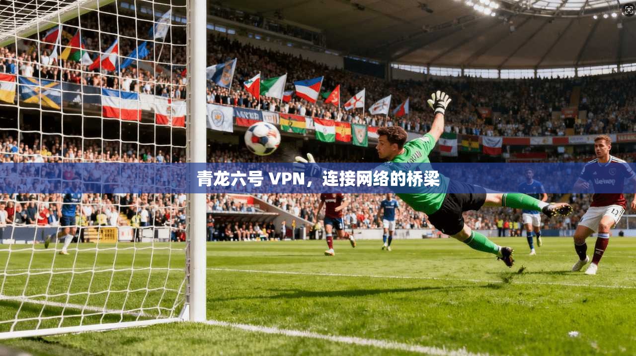 青龙六号 VPN,连接网络的桥梁