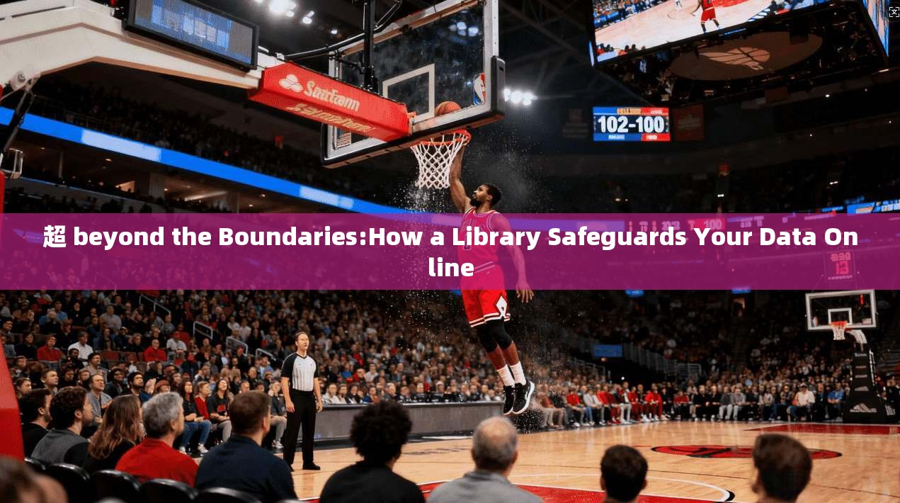 超 beyond the Boundaries:How a Library Safeguards Your Data Online