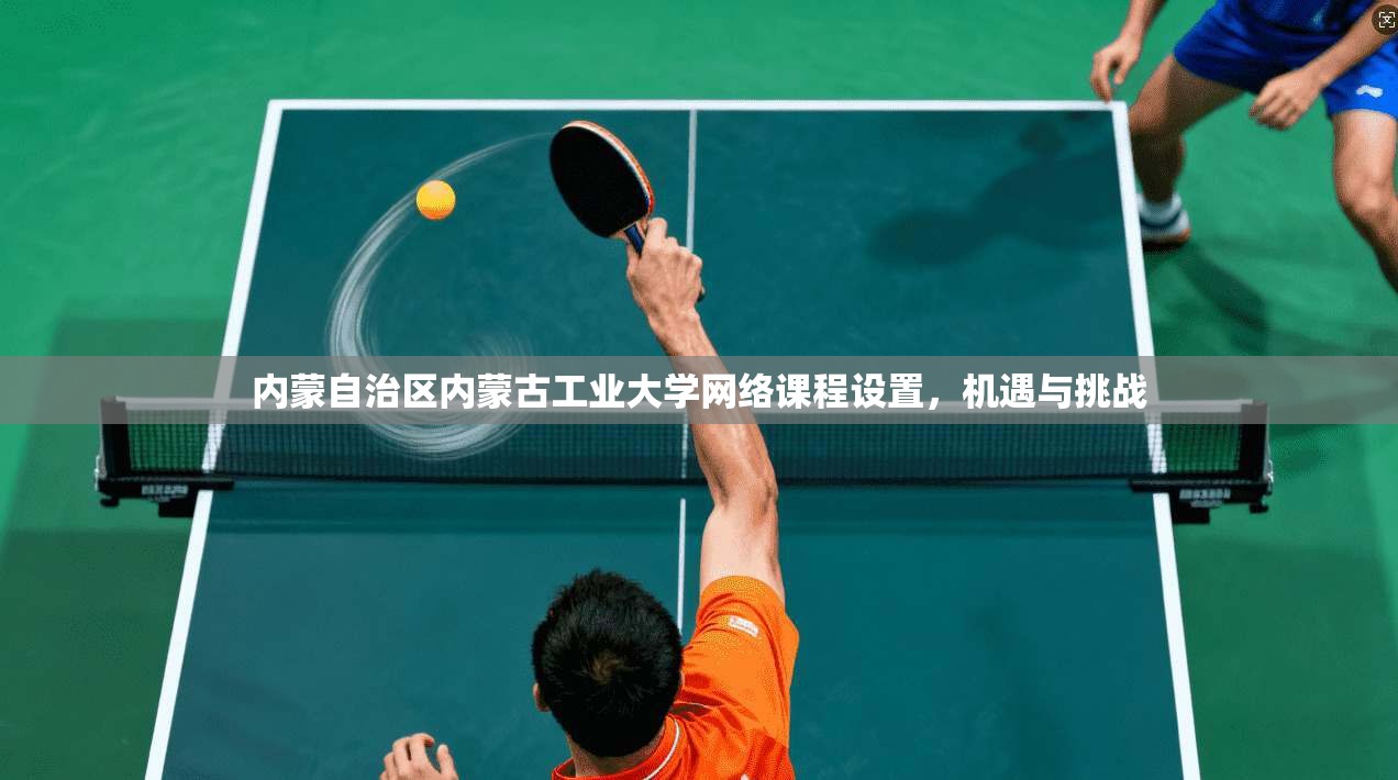内蒙自治区内蒙古工业大学网络课程设置,机遇与挑战