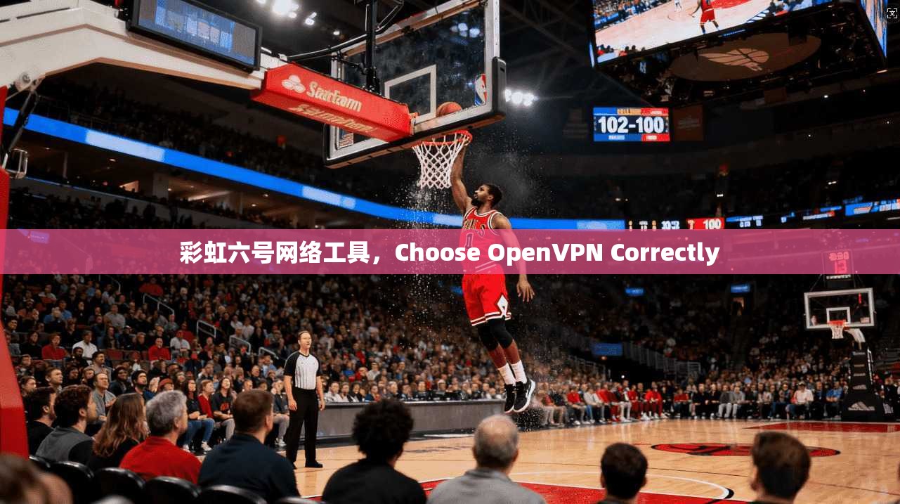 彩虹六号网络工具，Choose OpenVPN Correctly