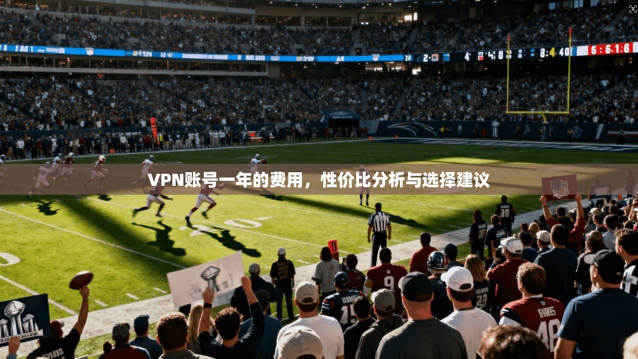 VPN账号一年的费用，性价比分析与选择建议