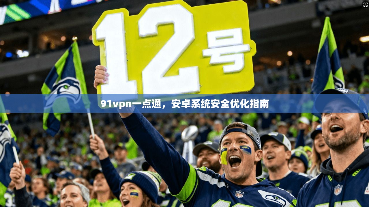 91vpn一点通,安卓系统安全优化指南
