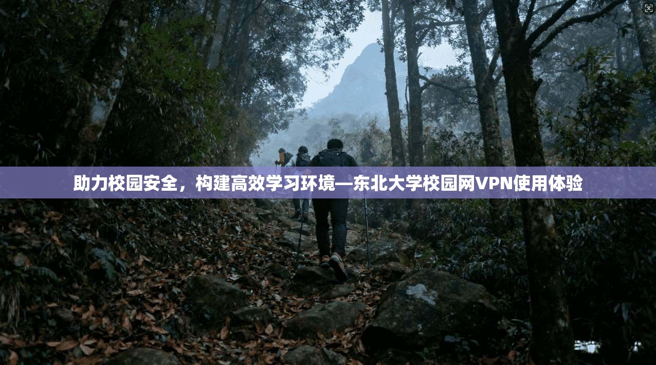 助力校园安全，构建高效学习环境—东北大学校园网VPN使用体验