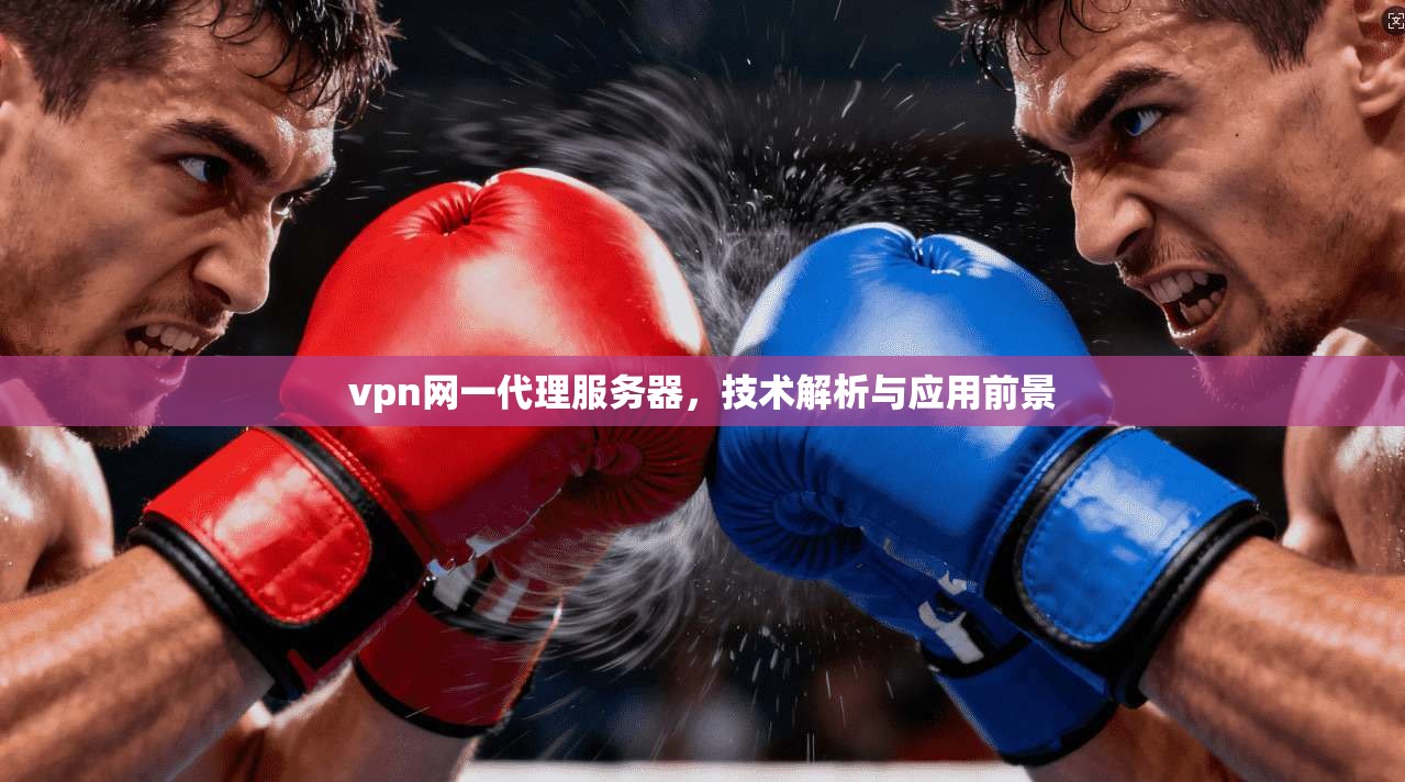 vpn网一代理服务器，技术解析与应用前景