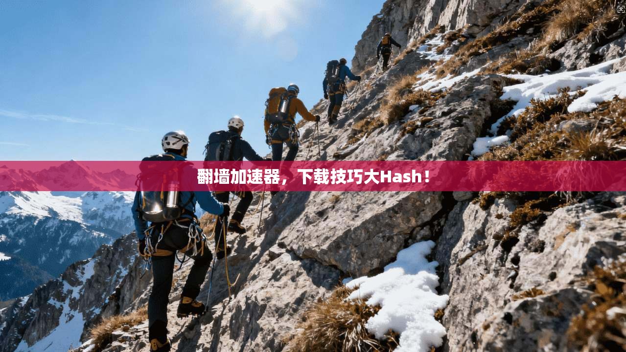 翻墙加速器,下载技巧大Hash!