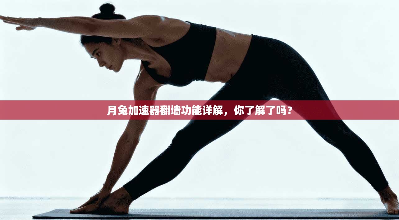 月兔加速器翻墙功能详解，你了解了吗？
