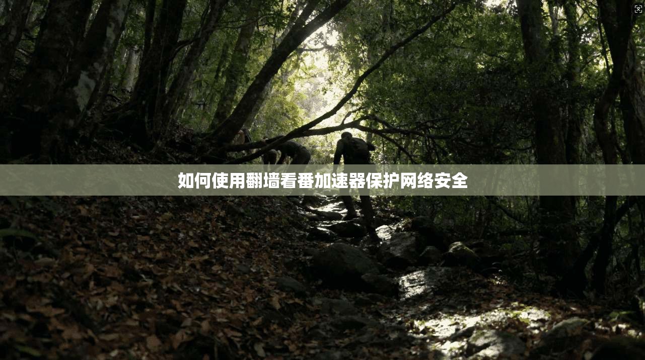 如何使用翻墙看番加速器保护网络安全