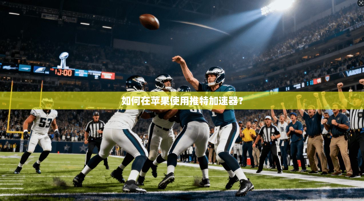 如何在苹果使用推特加速器？