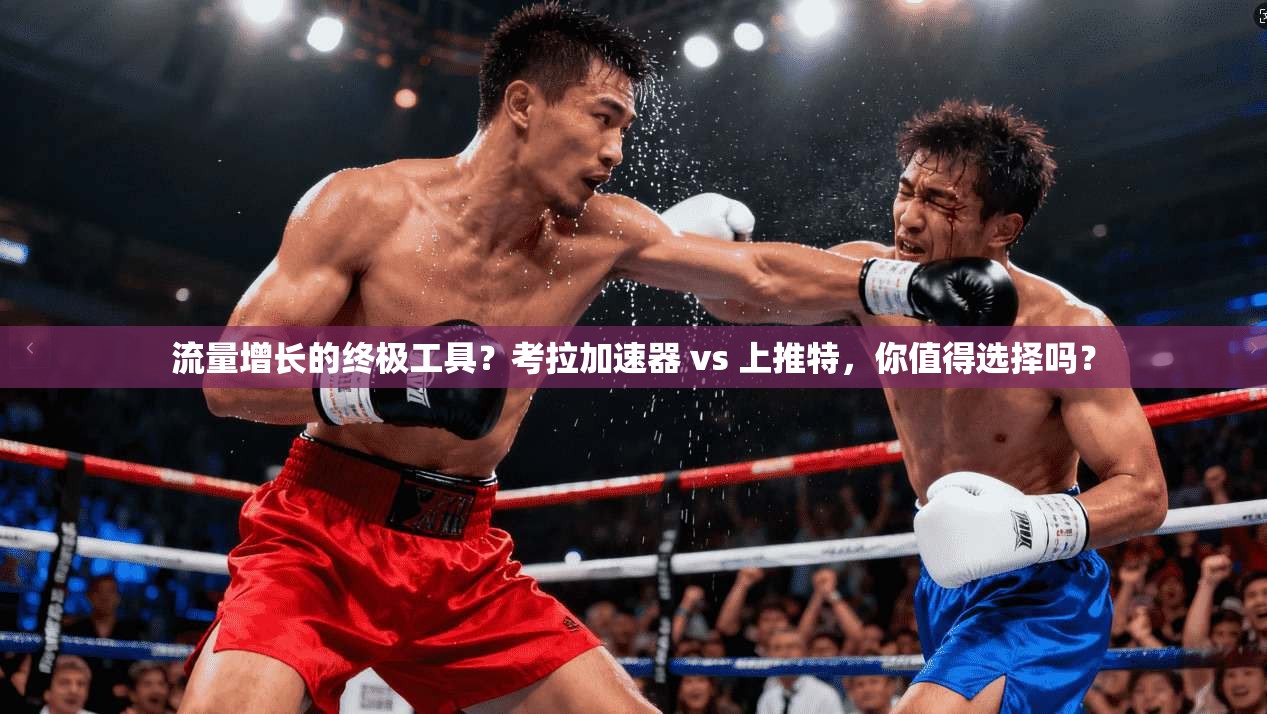 流量增长的终极工具?考拉加速器 vs 上推特,你值得选择吗?