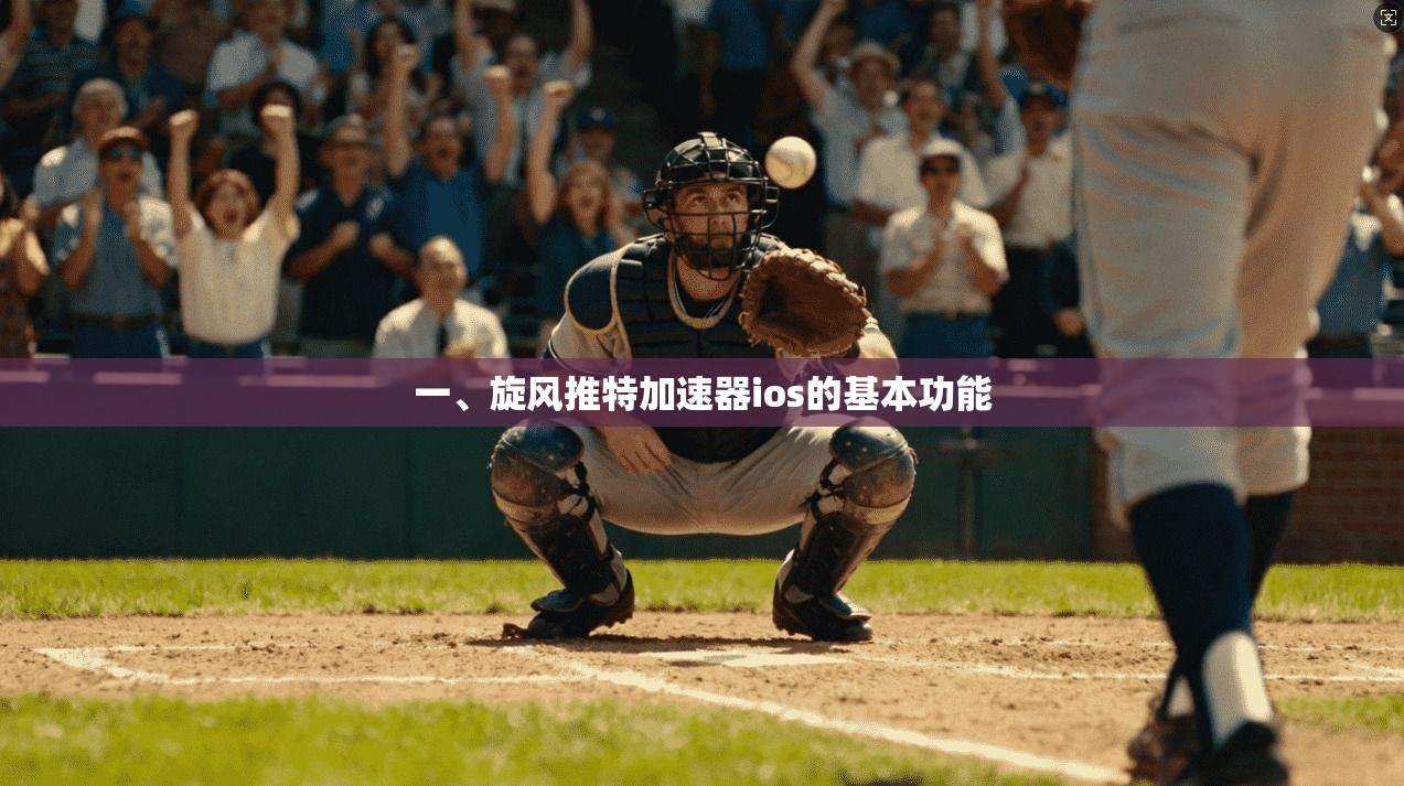 一、旋风推特加速器ios的基本功能
